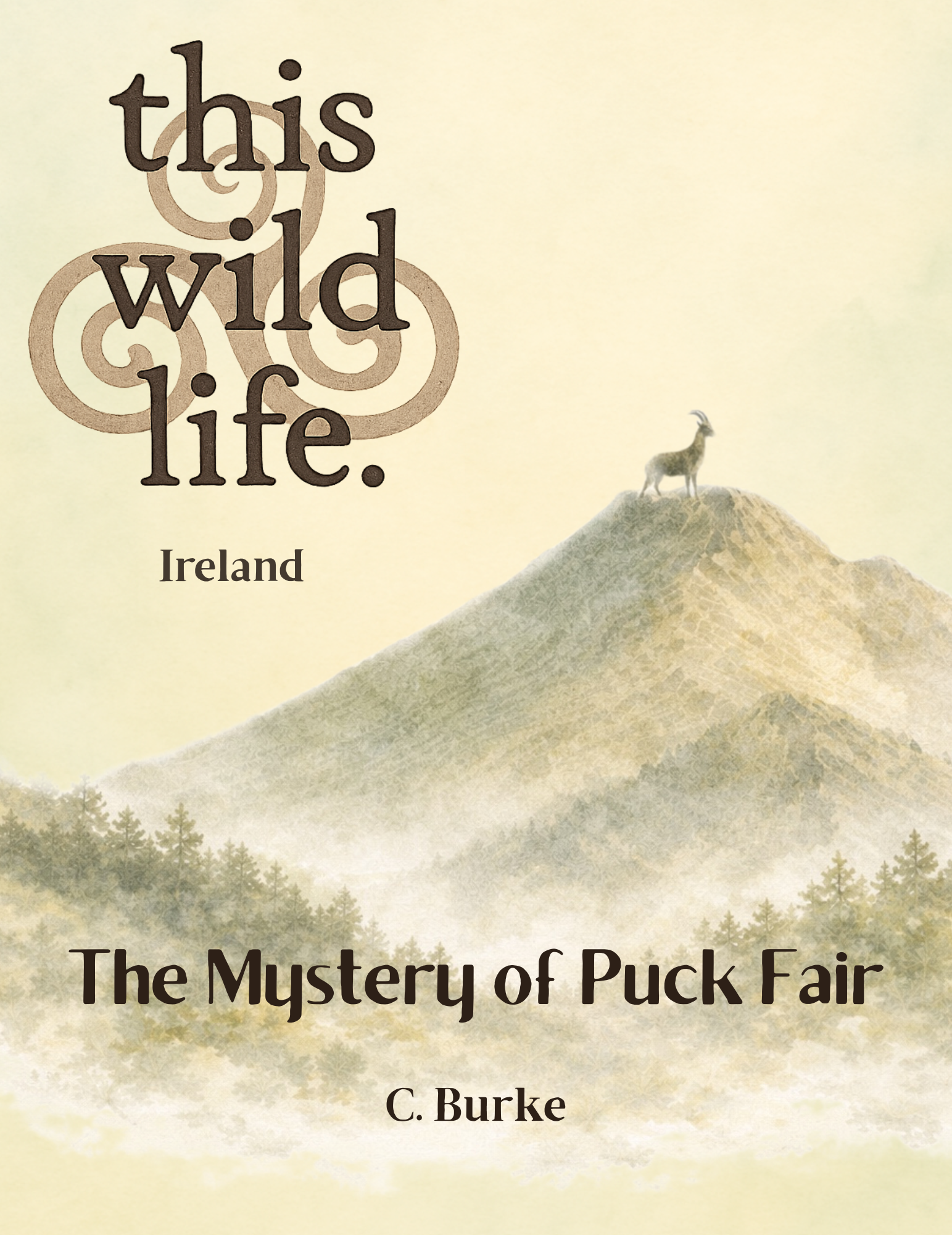 The Mystery of Puck Fair front cover
